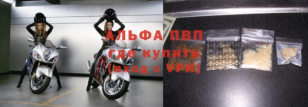 гашик Сясьстрой